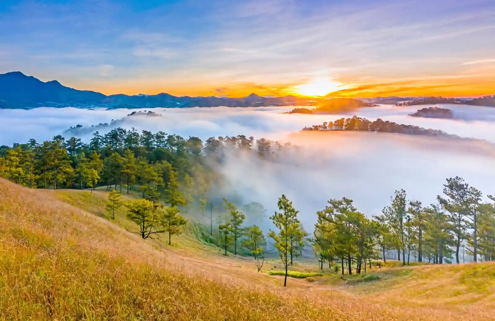 DA LAT · HIGHLAND ESCAPE
