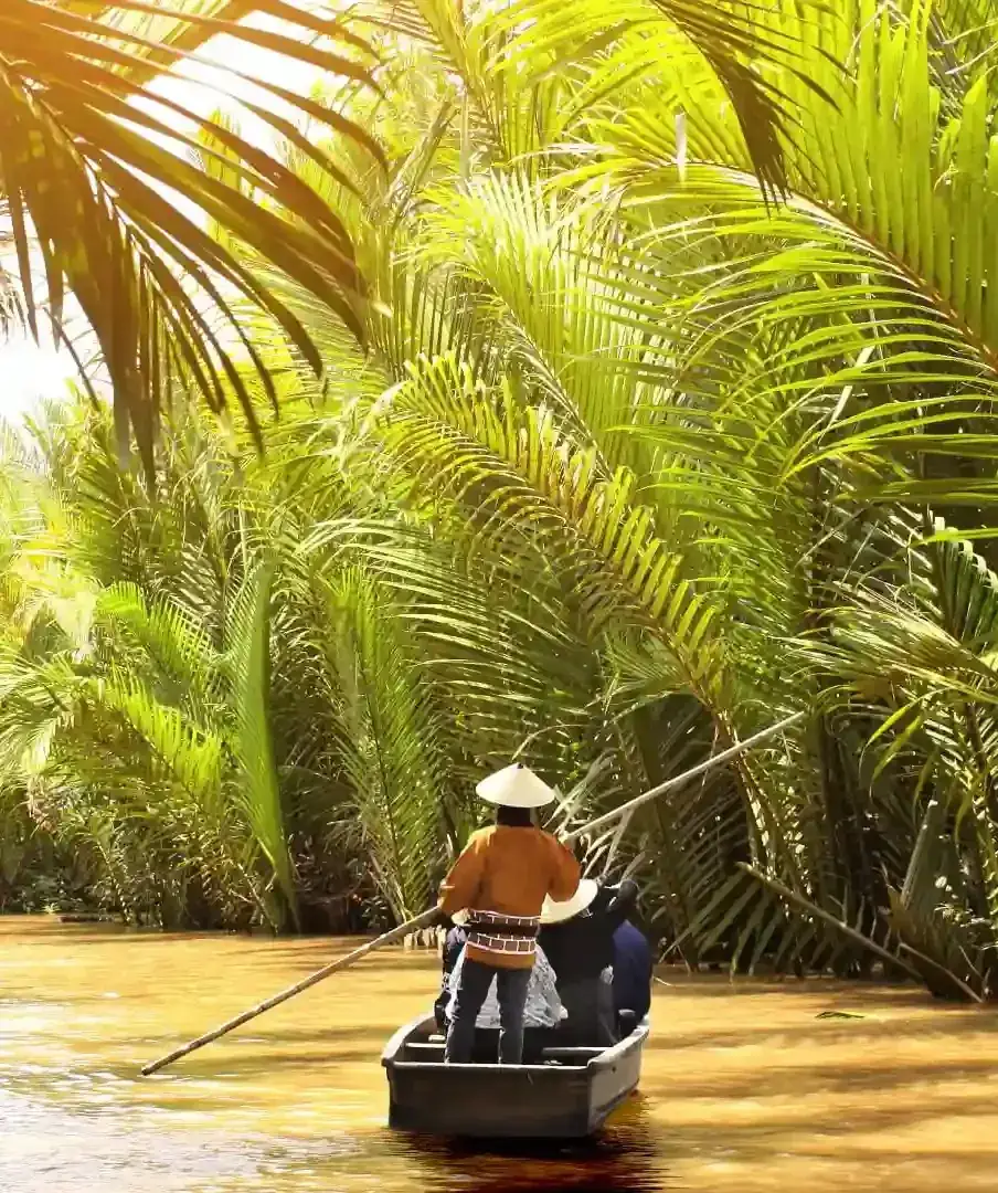 Wooden river boats winding through palm-lined canals of the Mekong Delta at sunrise
