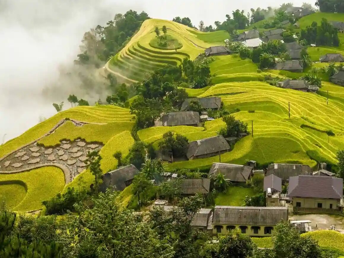 Hoang Su Phi Trekking Tour