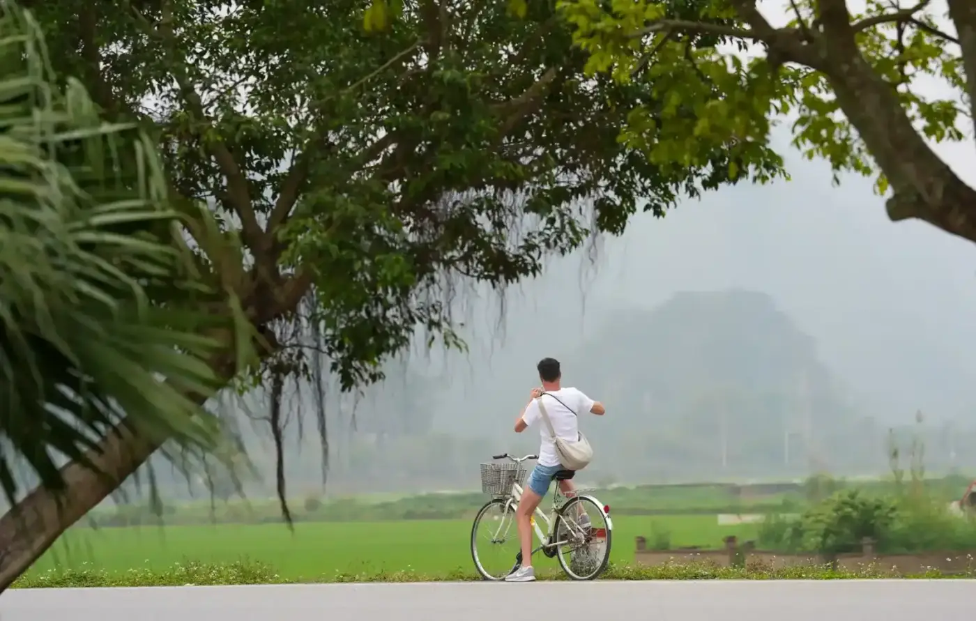 Vietnam's Essential Journeys