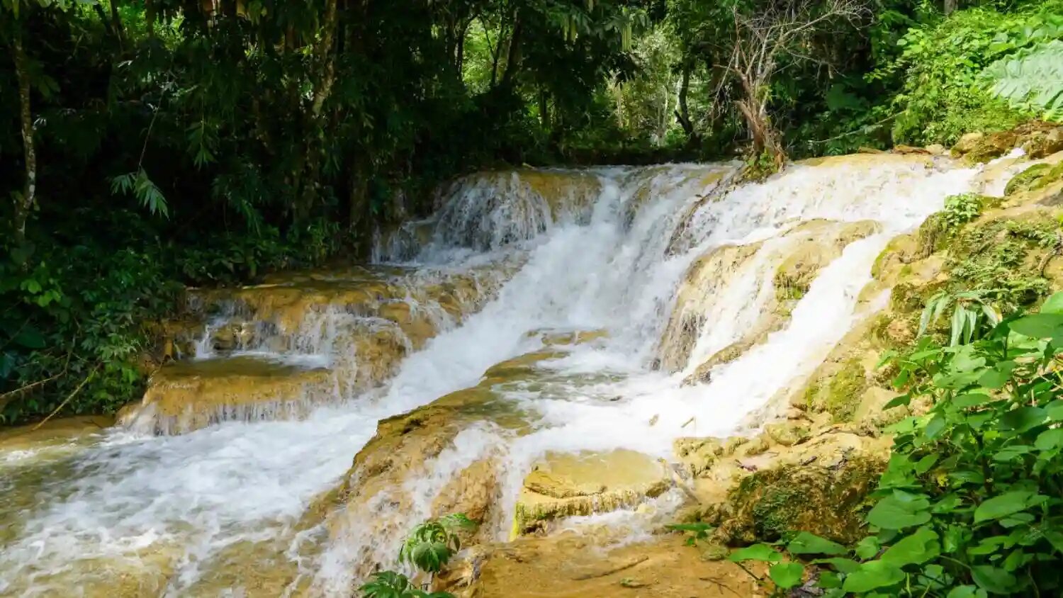 Pu Luong Nature Retreat