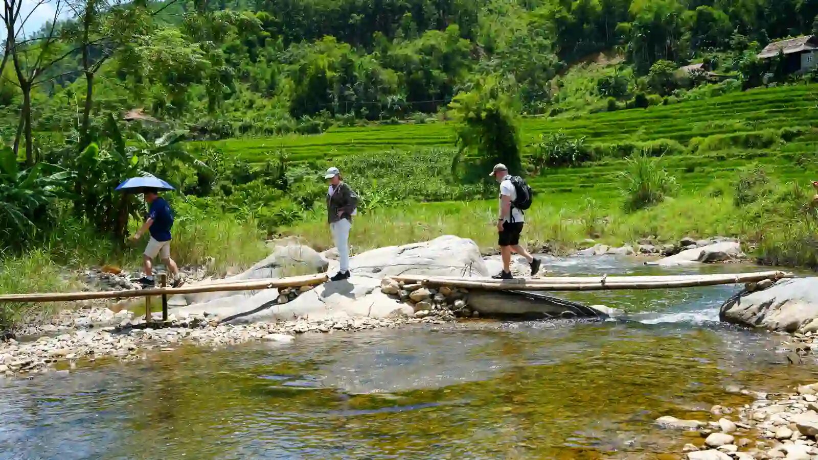 Pu Luong Trek & Homestay