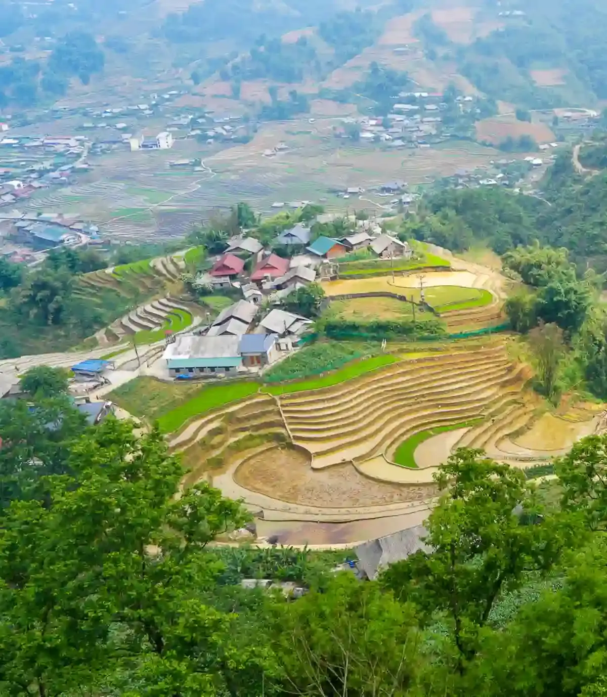Local ethnic tour guide walking with travelers through green rice terraces in Sapa